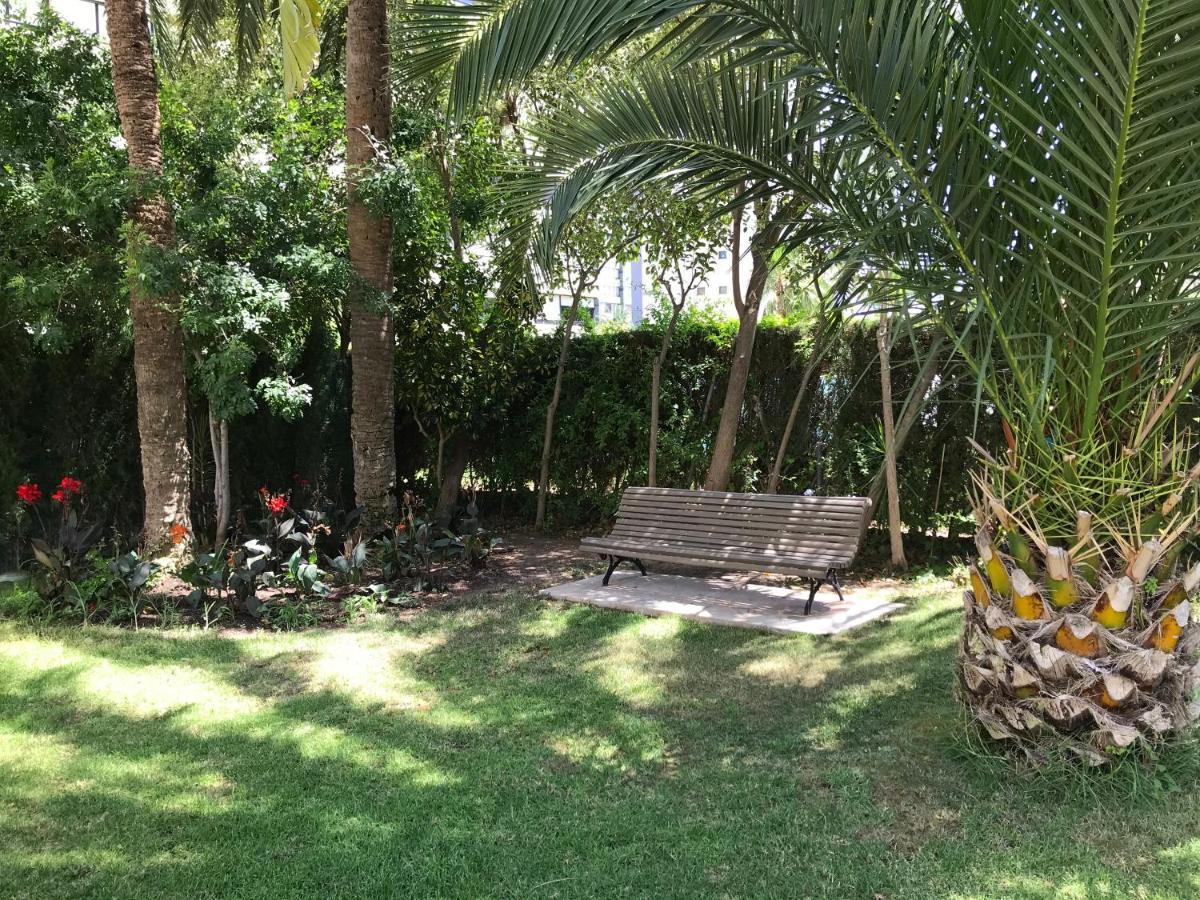 Apartamento Coffee Beach En Parque Europa Benidorm Zewnętrze zdjęcie